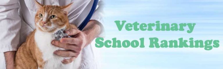 Veterinary School Rankings